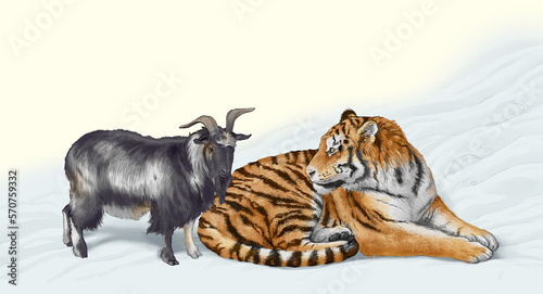 An animal friendship between a goat and a tiger 