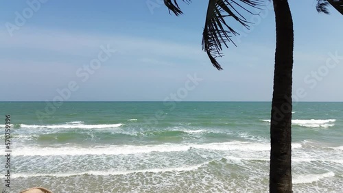 frying over beach with trees