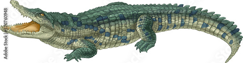 Crocodile alligator green monster with jaws