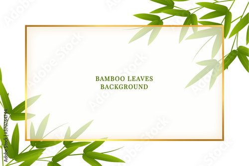 Bamboo background green leaves illustration
