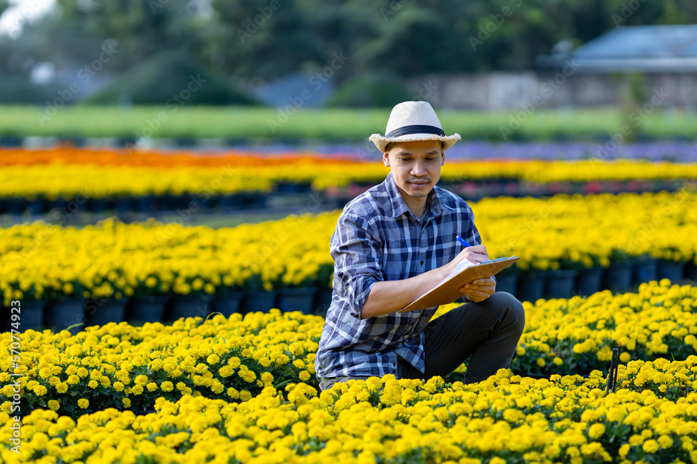 Asian gardener is taking note using clip board on the growth and health of yellow marigold plant while working in his rural field farm for medicinal herb and cut flower usage Asian gardener is taking note using clip board on the growth and health of yellow marigold plant while working in his rural field farm for medicinal herb and cut flower usage
