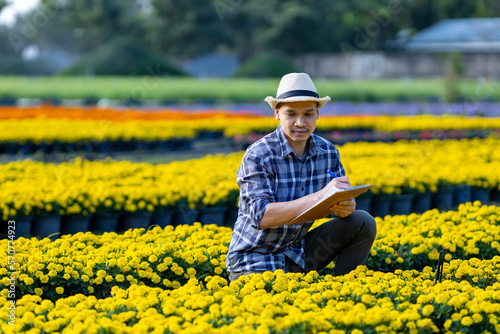 Asian gardener is taking note using clip board on the growth and health of yellow marigold plant while working in his rural field farm for medicinal herb and cut flower usage