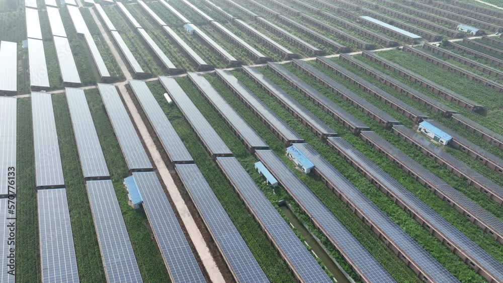 solar panels in farm solar panels in farm