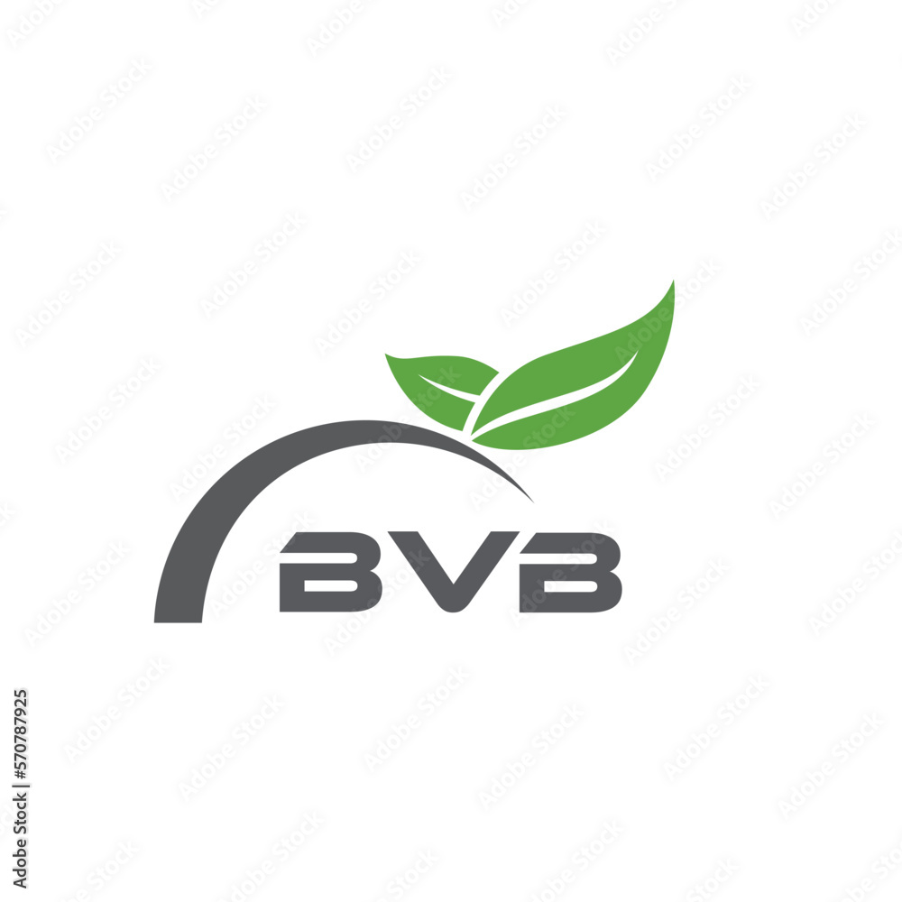 BVB letter nature logo design on white background. BVB creative initials letter leaf logo concept. BVB letter design.

