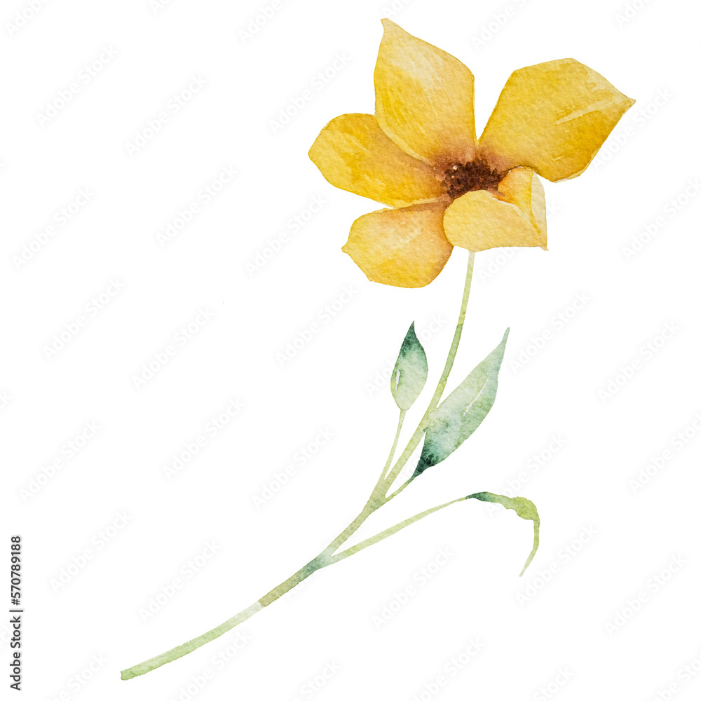 yellow flower watercolor