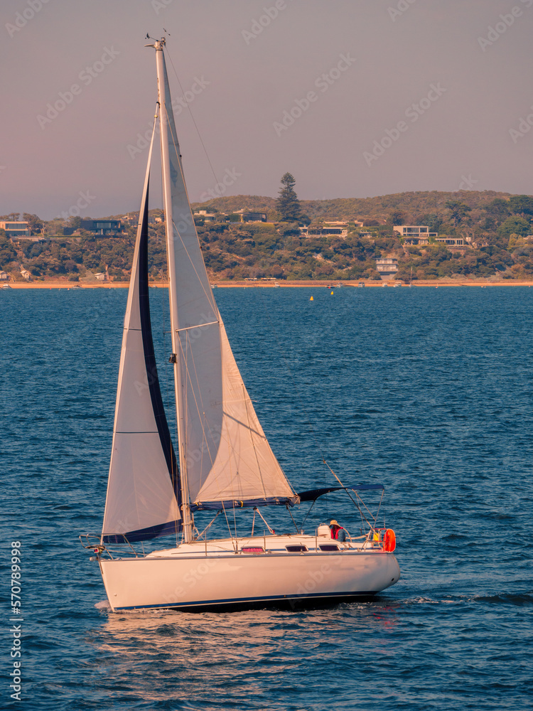 Fototapeta premium Heeling Yacht vert