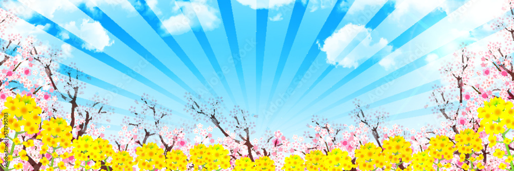 桜　菜の花　春　背景