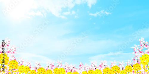 桜　菜の花　春　背景 © J BOY