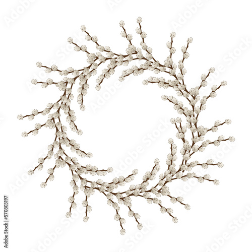 Wreath made of pussy willow branches on white background