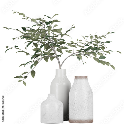 decoration indoor plant in vase  isolated on white or transparent background  photorealistic 3d render