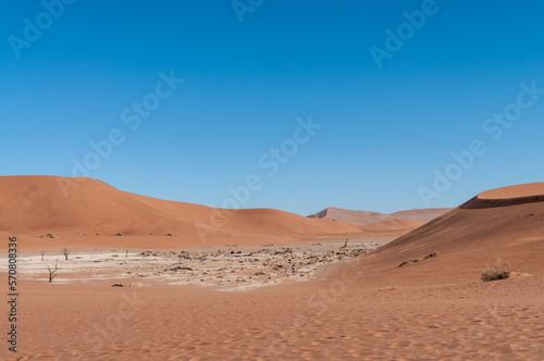 Wide angle view of the red sanddunes of the namibian deadvlei area.