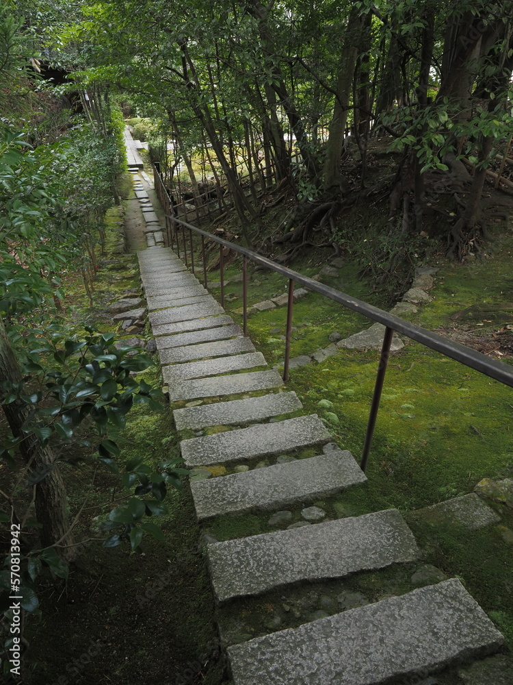 Obraz premium 冬の寺の境内