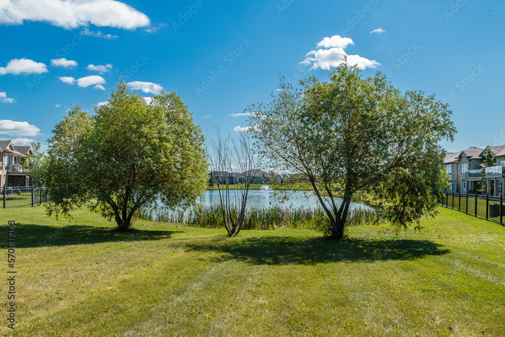 Obraz premium Willows in Saskatoon, Canada