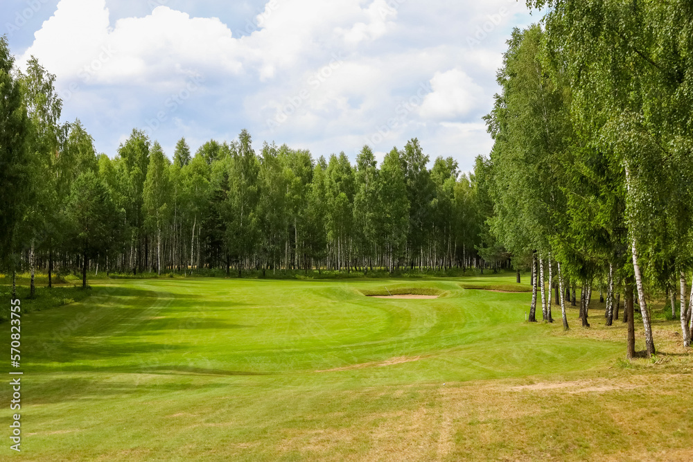 Green field against the background of forest and a blue sky. Green field against the background of forest and a blue sky.