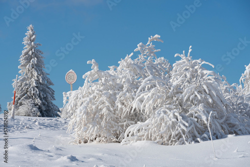Ice covered trees and a traffic sign full of snow and ice in Rhön