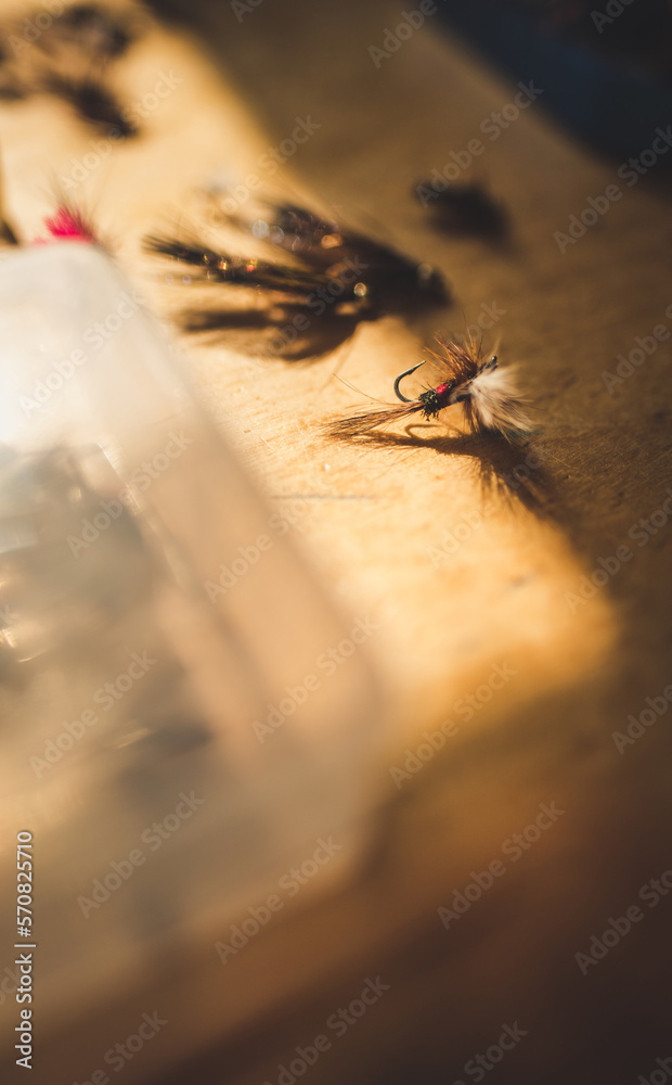 Close-up detailed photo of artificial flies for fly fishing Close-up detailed photo of artificial flies for fly fishing