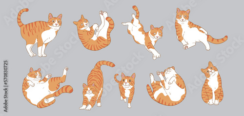 Cute Cartoon orange cat set