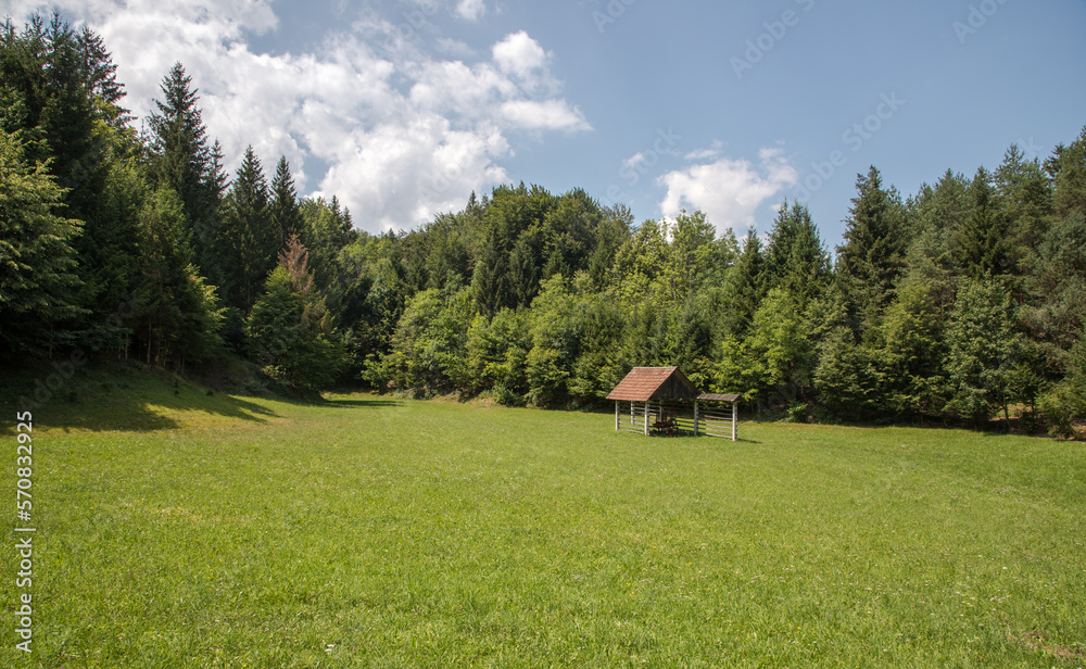 Summer in the Julian Alps - mountain pasture and hayloft - Kupljenik, near Lake Bled