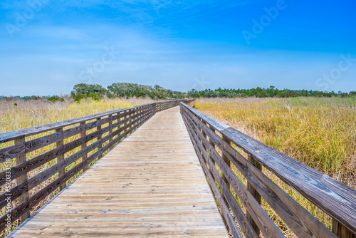 A very long boardwalk surrounded by shrubs in Gulf Shores, Alabama