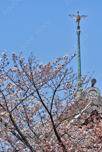 大雲院・祇園閣（銅閣寺） photo