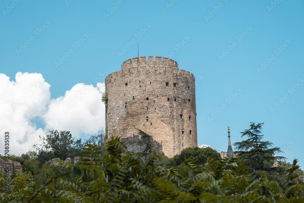 Rumeli Fortress with cloudy blue sky, historical structures in Istanbul, aged castle view with trees, Rumelihisarı in Turkish, Constantinople fortress, landscape from Istanbul, popular destination