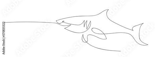 Shark fish in continuous line art drawing style. Minimalist black linear sketch on white background. Vector illustration