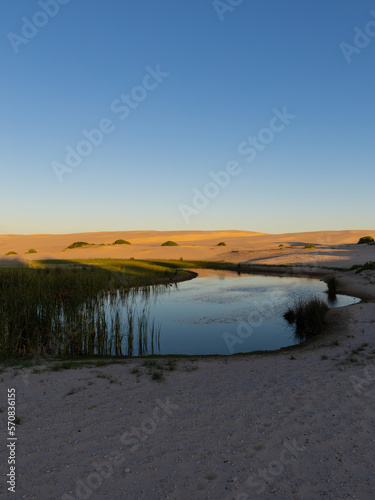 Small pond in the sand dune.