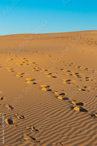 Multiple footpaths on the desert.