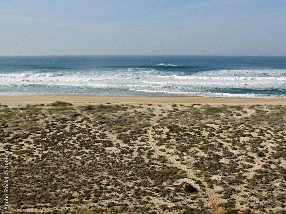 Praia do Norte in Nazare, Centro - Portugal Praia do Norte in Nazare, Centro - Portugal