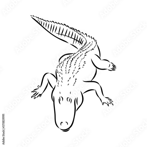 Hand-drawn pencil graphics  crocodile  alligator  croc. Engraving  stencil style. Black and white logo  sign  emblem  symbol. Stamp  seal. Simple illustration. Sketch.