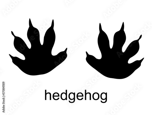 Vector cartoon hedgehog footprint, raccoon track. Hedgehog steps. Ink, silhouette vector illustration isolated on white background. For posters, greeting cards, book cover, flyers, banner, game design