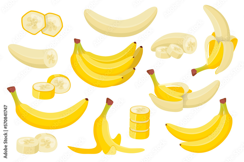 Various banana flat set. Exotic natural fruits collection. Cartoon illustration 