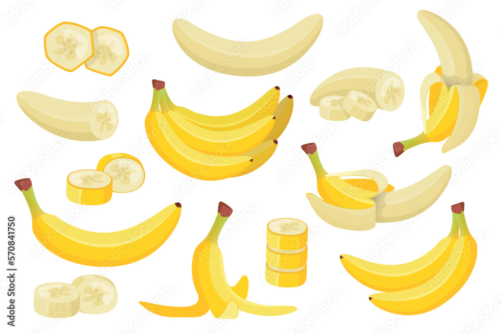 Various banana flat set. Exotic natural fruits collection. Vector cartoon illustration Various banana flat set. Exotic natural fruits collection. Vector cartoon illustration