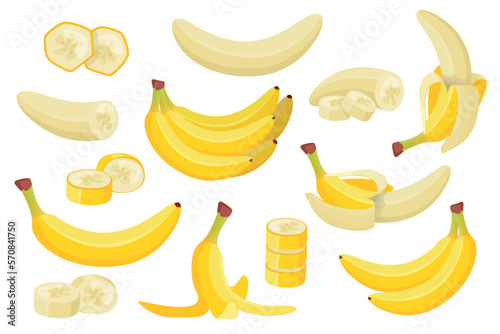 Various banana flat set. Exotic natural fruits collection. Vector cartoon illustration 