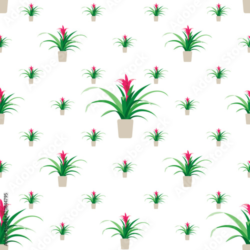 floral background, seamless plant texture with houseplants, Guzmania with red flower