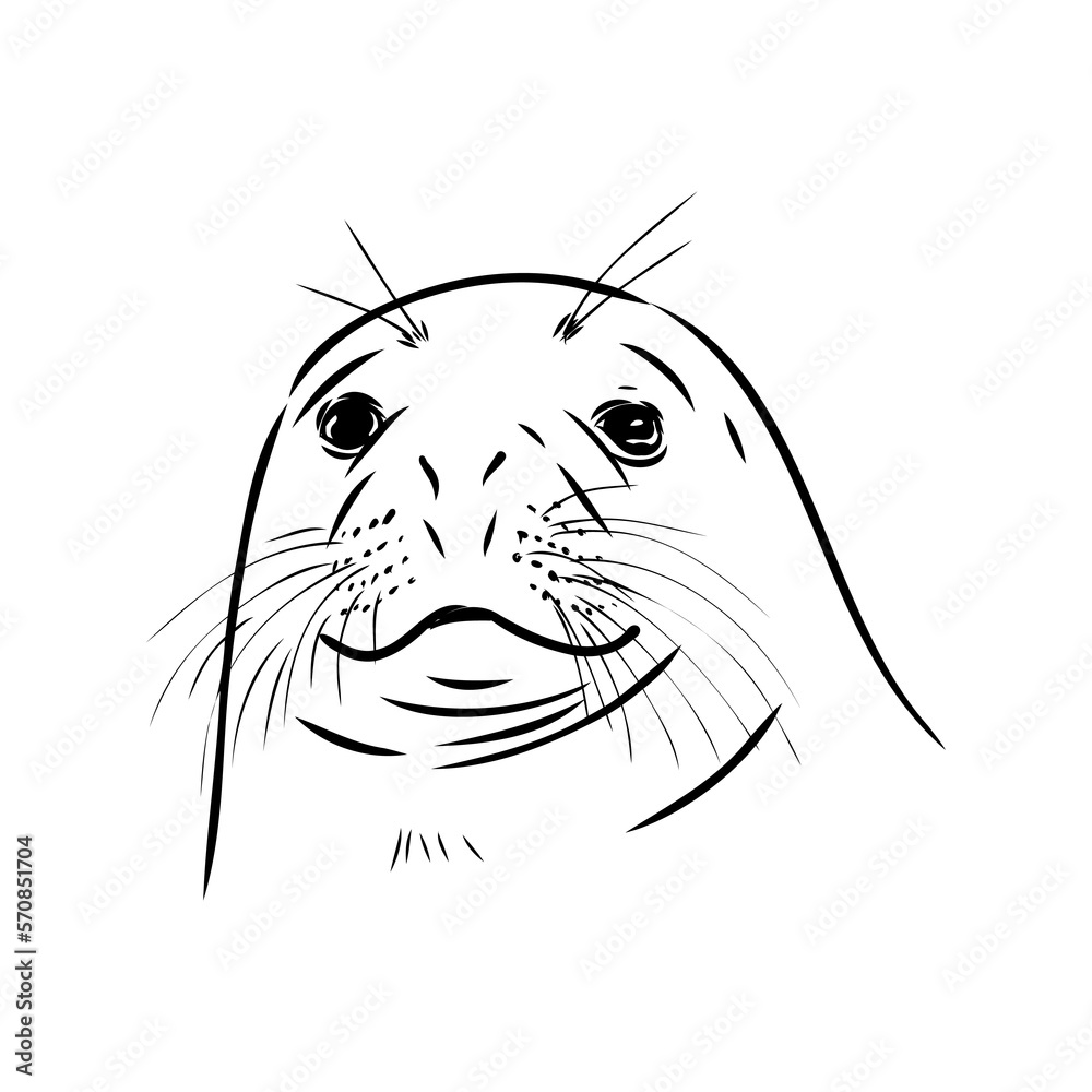 The animal is a navy seal. Monochrome logo of a marine animal. Vector isolated hand drawing in doodle style. Contour linear isolated icon. The page of the coloring book. The animal is a navy seal. Monochrome logo of a marine animal. Vector isolated hand drawing in doodle style. Contour linear isolated icon. The page of the coloring book.