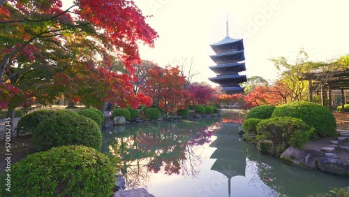 京都　東寺の紅葉と五重塔 photo