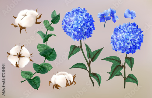 Realistic hydrangea. Cotton flowers. Eucalyptus leaves. Hortencia blossoms. Floral decoration. Summer nature wedding. Beauty garden. Blooming branch. Vector 3D exact natural elements set