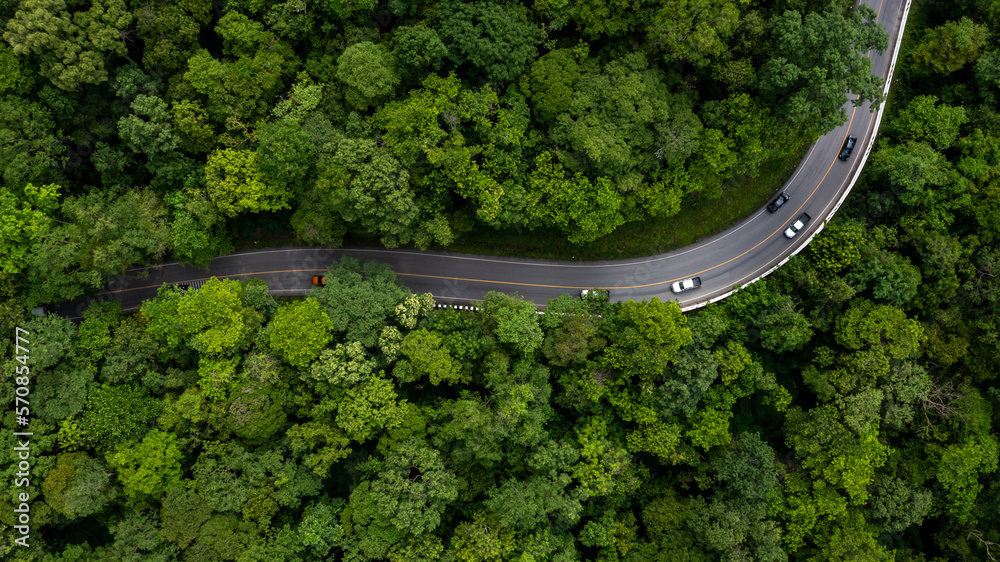 Aerial view green forest with car on the asphalt road, Car drive on the road in the middle of forest trees, Forest road going through forest with car.