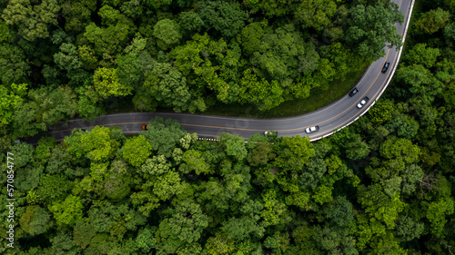 Fototapeta Naklejka Na Ścianę i Meble -  Aerial view green forest with car on the asphalt road, Car drive on the road in the middle of forest trees, Forest road going through forest with car.