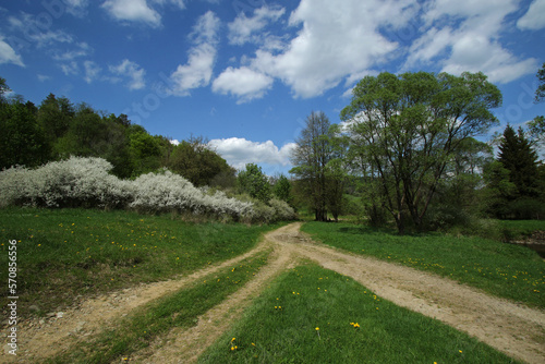 Fototapeta Naklejka Na Ścianę i Meble -  Spring landscape of Nieznajowa - former and abandoned village in Low Beskids, Poland