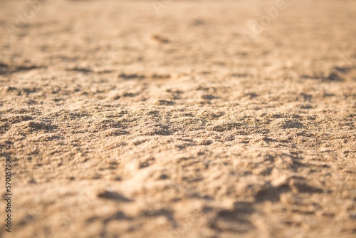Macro picture of the sand