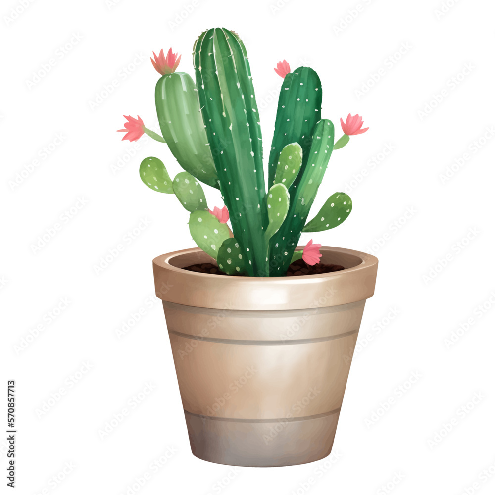 Cactus with Flowers in a Plant Pot Isolated Detailed Hand Drawn Painting Illustration Cactus with Flowers in a Plant Pot Isolated Detailed Hand Drawn Painting Illustration