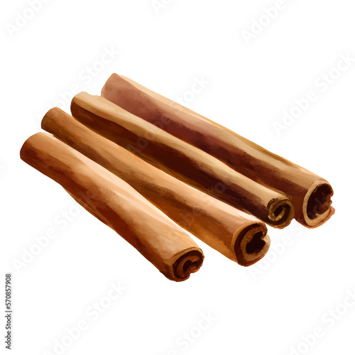 Cinnamon Sticks Isolated Detailed Hand Drawn Painting Illustration