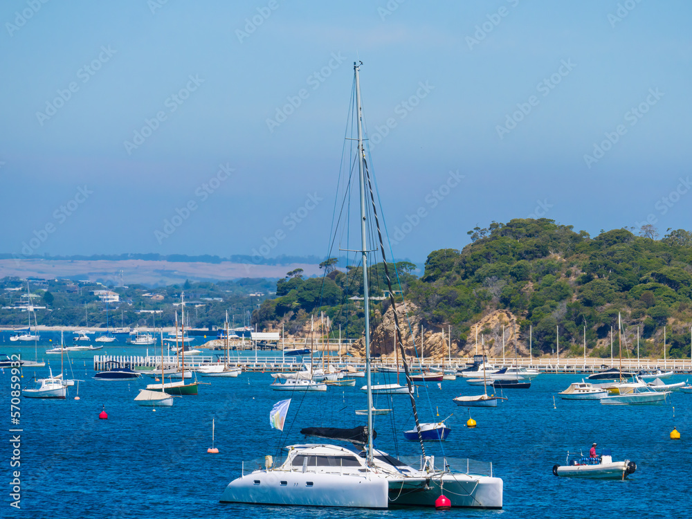 Fototapeta premium Lots Of Yachts