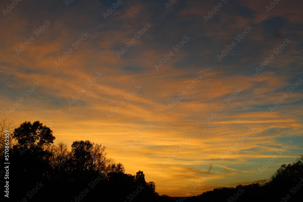 an orange and blue sunset with the silhouette of trees and a bright blue sky and wispy clouds