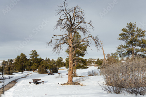 Castlewood Canyon State Park Winter photo