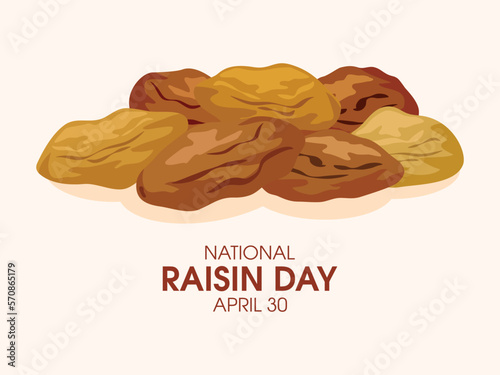 National Raisin Day vector illustration. Pile of raisins vector. Dried grapes drawing. April 30 every year. Important day