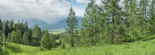 Mountain landscape, summer greenery, forest and mountains in clouds, panoramic view
