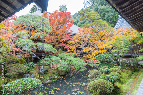 京都 永観堂の紅葉 